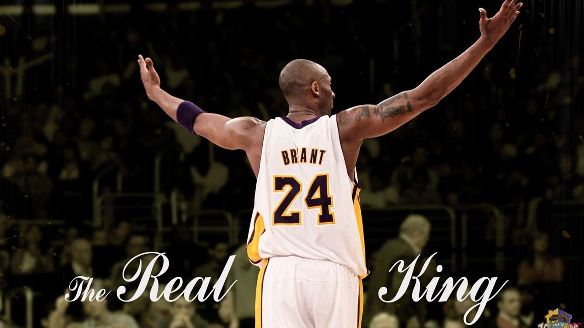 Aster季中赛表现抢眼,aster战队中单