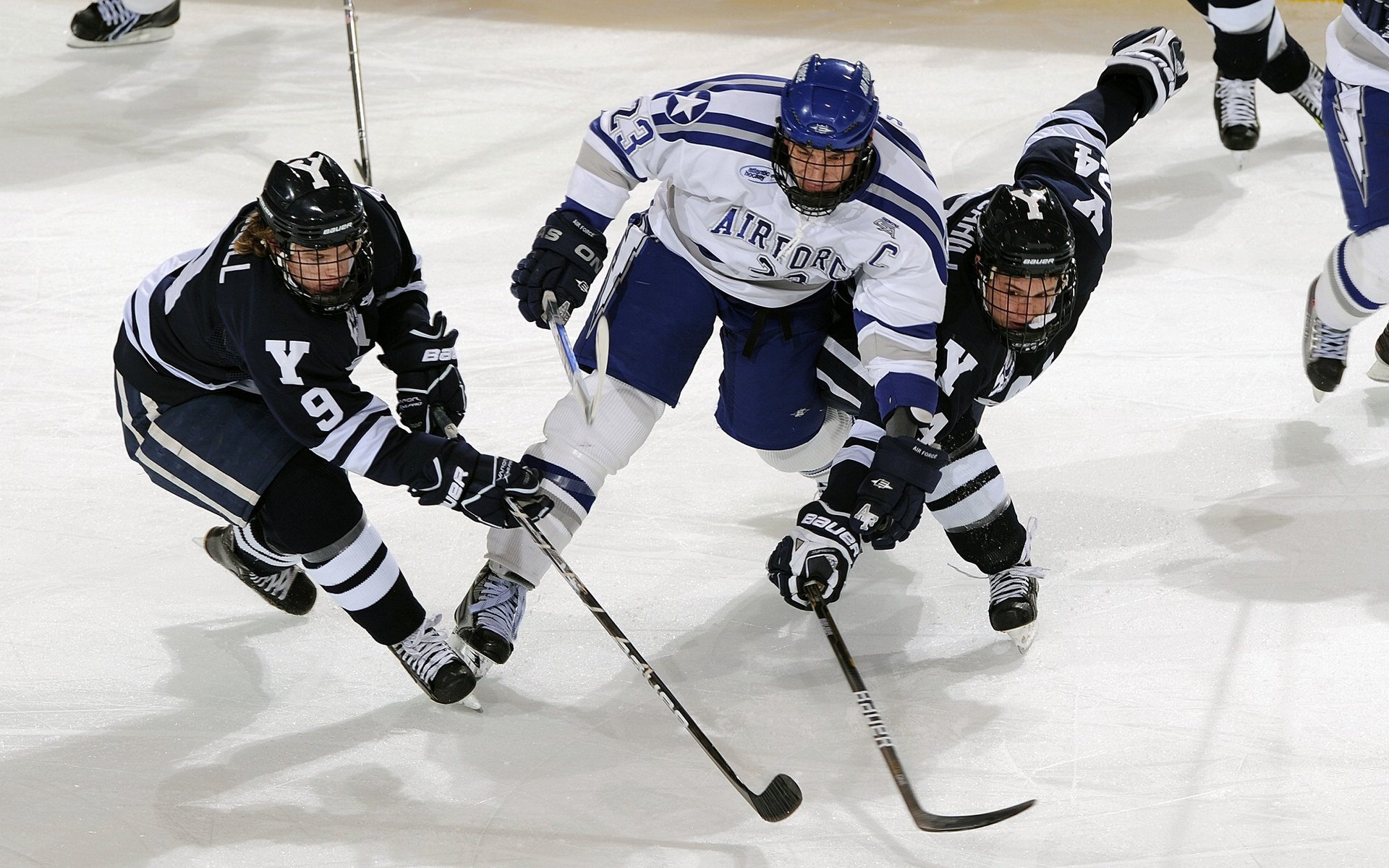 《电竞装备升级：硬核玩家首选的硬件推荐》，电竞装备 性价比